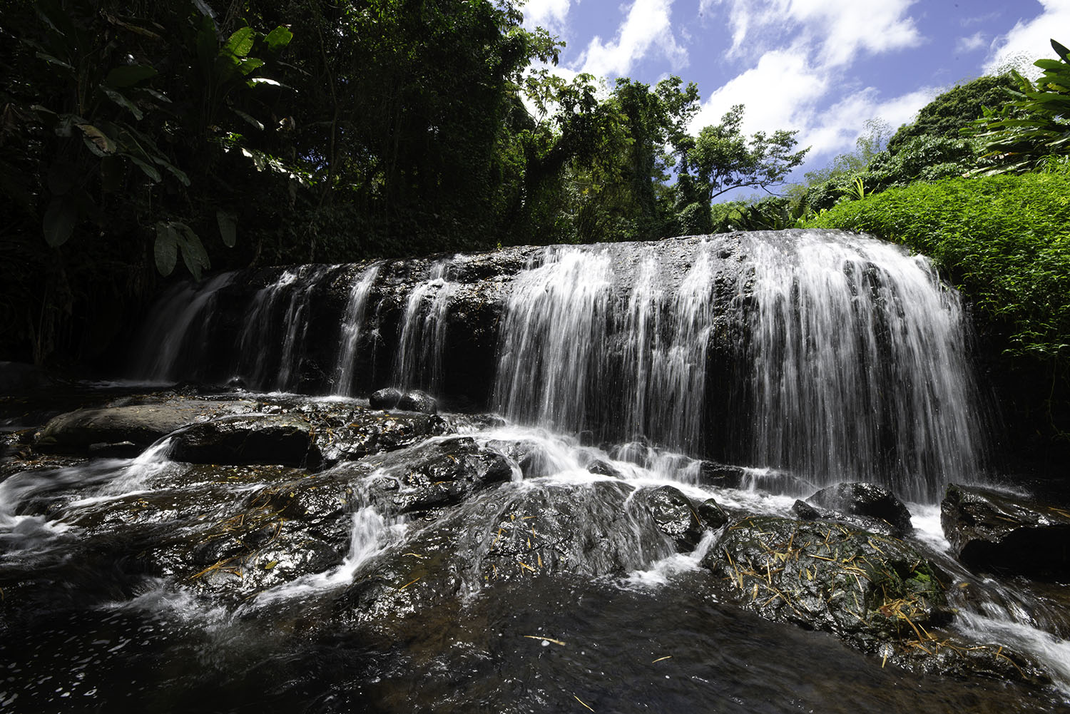 Décorer votre intérieur avec des paysages naturels exotiques